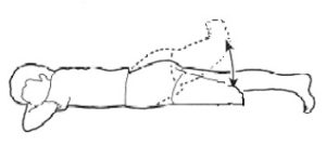 Exercises For Below Knee Amputees - Milton Keynes University Hospital